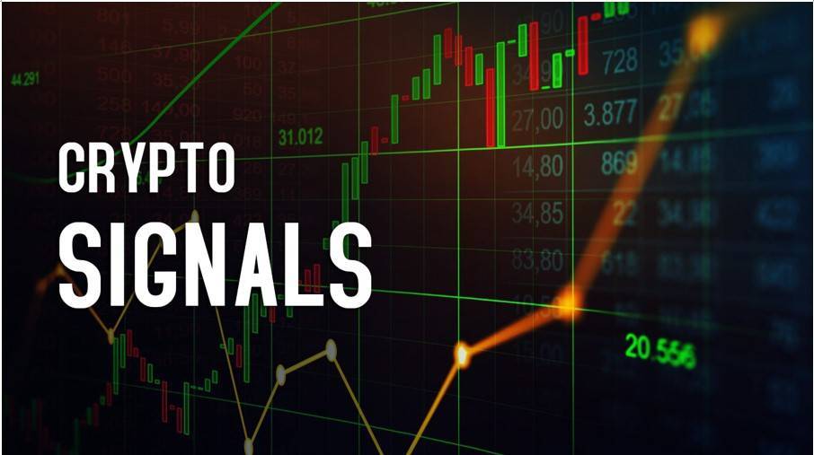 mycryptoparadise- crypto signals