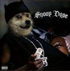 celebrities rallying Dogecoin
