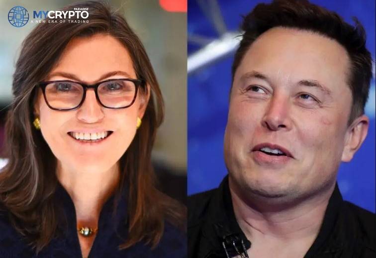 Elon Musk’s Tesla