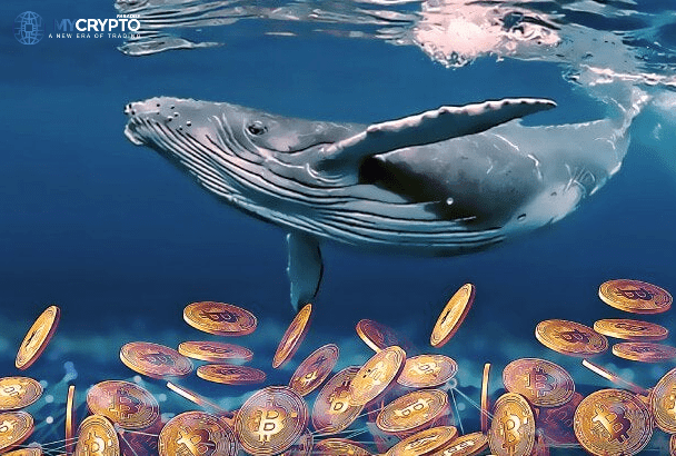 CoinBASE