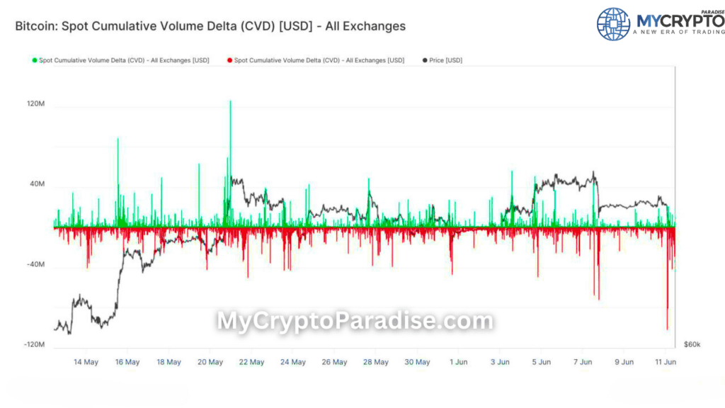 Bitcoin witnessed