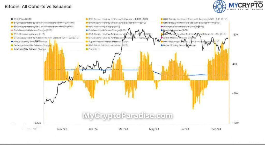 Bitcoin Accumulation