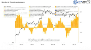 Bitcoin Accumulation