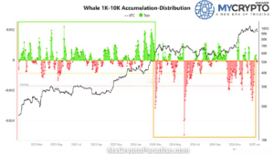 Whales in Action