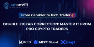 Double Zigzag Correction
