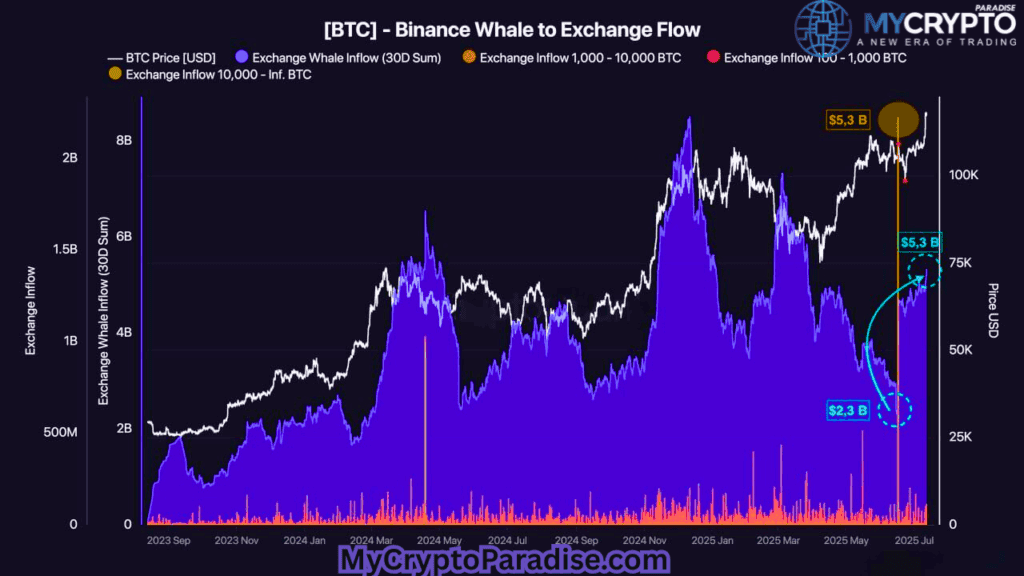 Binance Whales