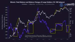 Bitcoin Whales