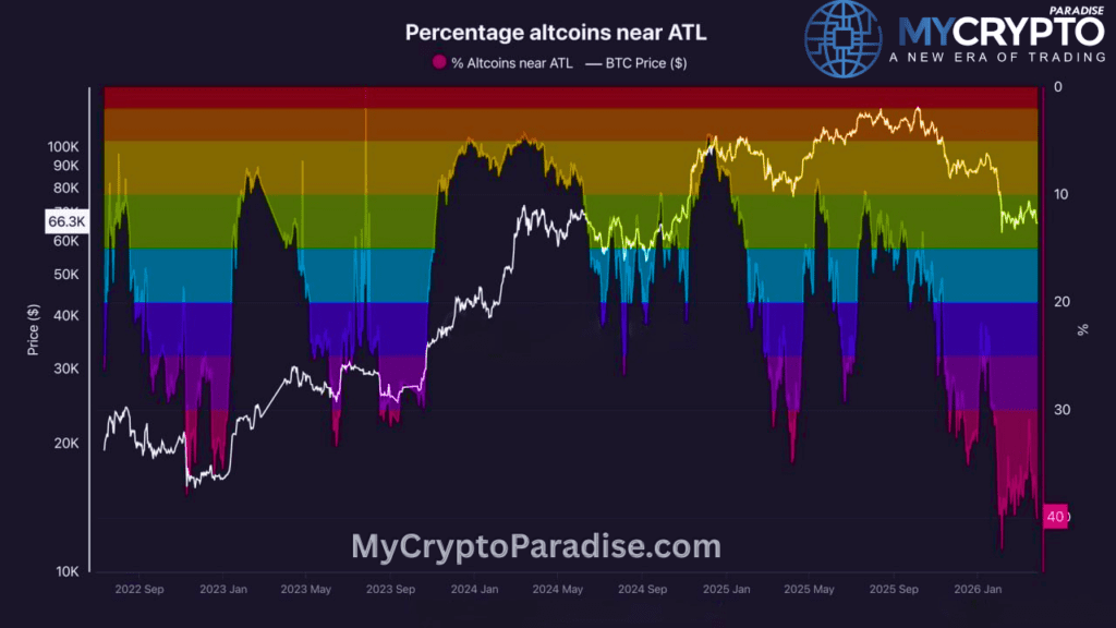 40% of altcoins